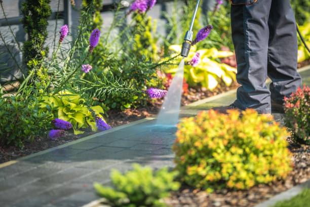 Best Parking Lot and Garage Cleaning  in Rockville, MD